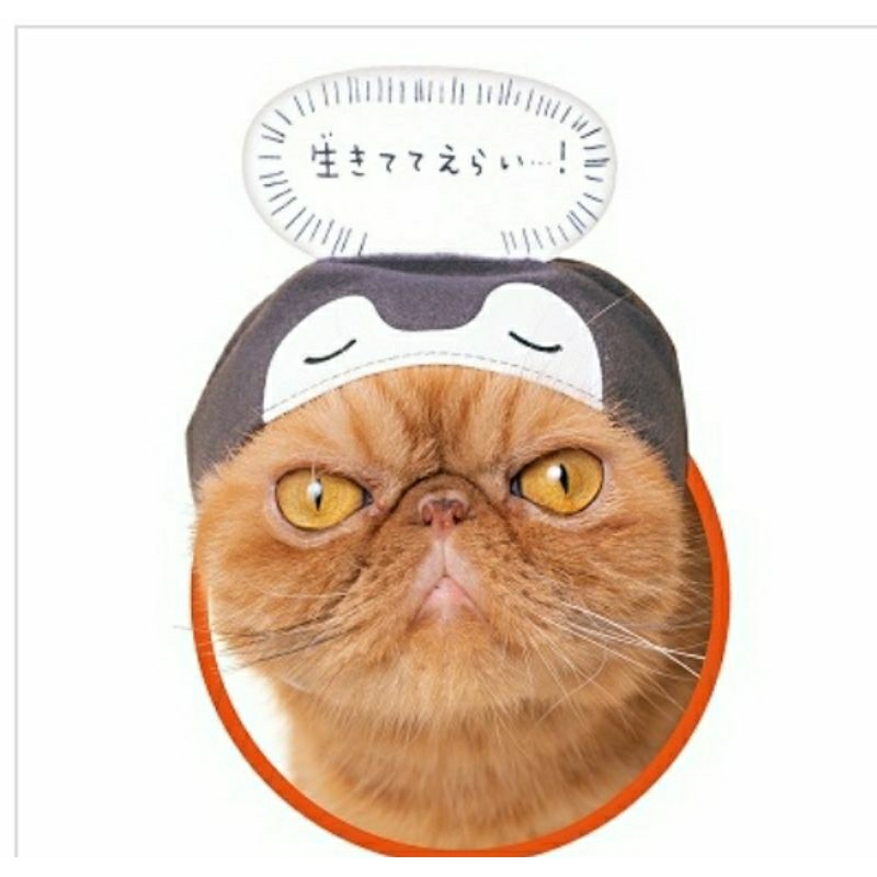 กาชาปอง หมวกแมว gachapon cat hat v.1 Shopee Thailand