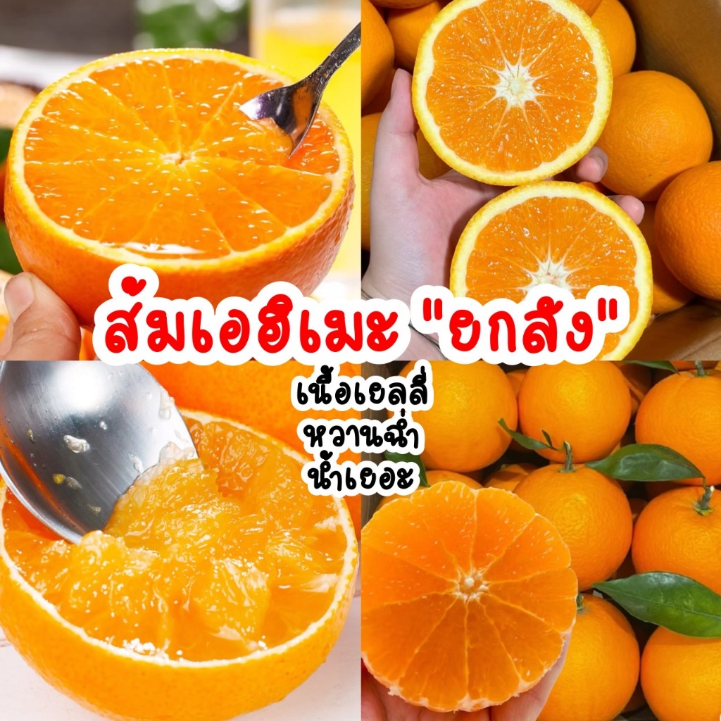 🍊ส้มเอฮิเมะสายพันธุ์ญี่ปุ่น (ยกลัง2-4.5kg)Ehime Orange เนื้อเยลลี่ หวาน ...