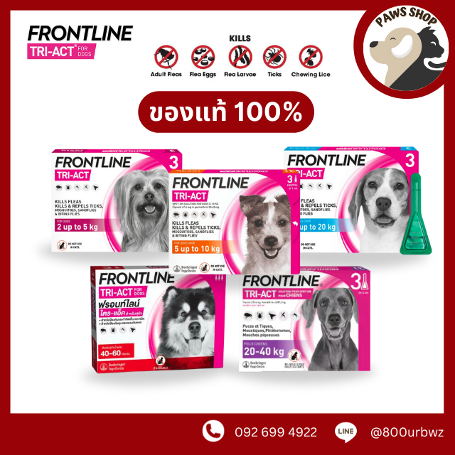Frontline plus pantip hotsell