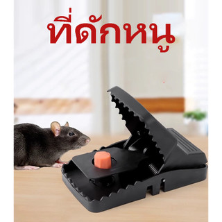 ที่ดักหนู อุปกรณ์ดักหนู กับดักหนูบ้านแบบสปริง เหยื่อดักหนู สารกำจัดหนู(Clip Mouse)เพิ่มความหนา ใช้ซ้ำได้ พร้อมส่ง