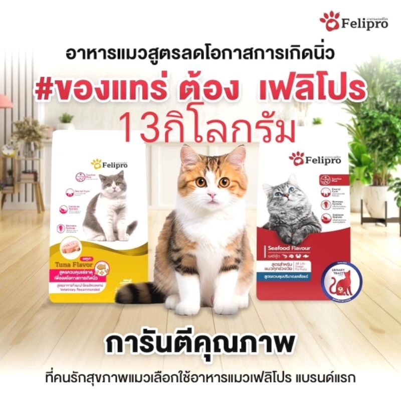 felipro 13 kg Red กระสอบสีแดง felipro หมดอายุ2025 ถุงใสแพ็คใส่กล่องดี ...