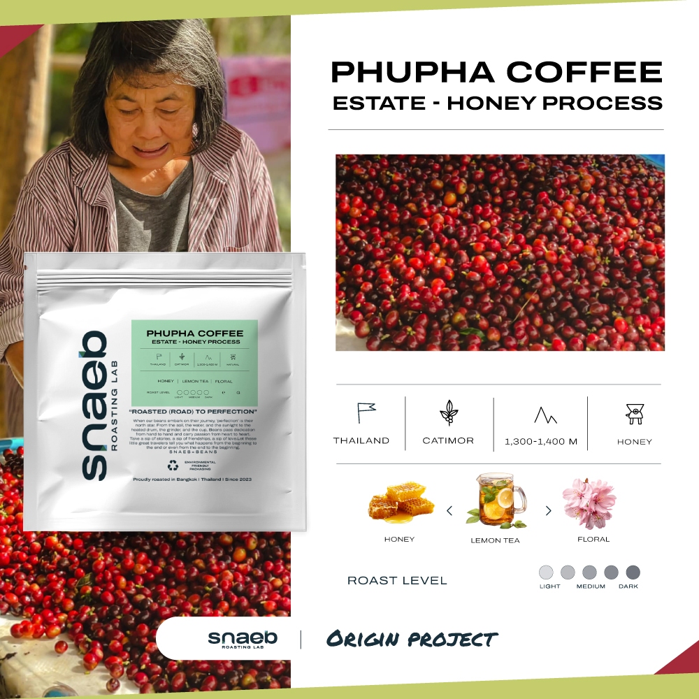 Phupha Coffee Estate - Honey Process | เมล็ดกาแฟคั่ว คั่วอ่อนไปทางกลาง ...