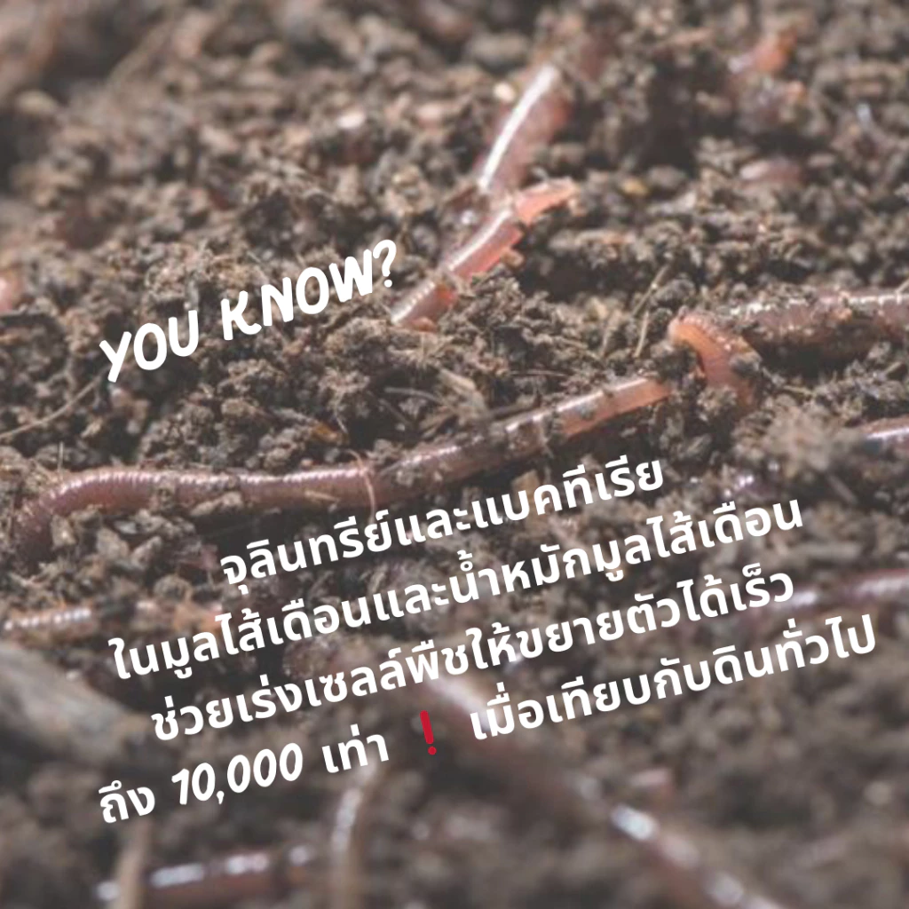 มูลไส้เดือน 100% ปุ๋ยมูลไส้เดือน (5kg) ปุ๋ยหมักผสมมูลไส้เดือน สูตรเพิ่มธาตุอาหาร คุณภาพสูง 2