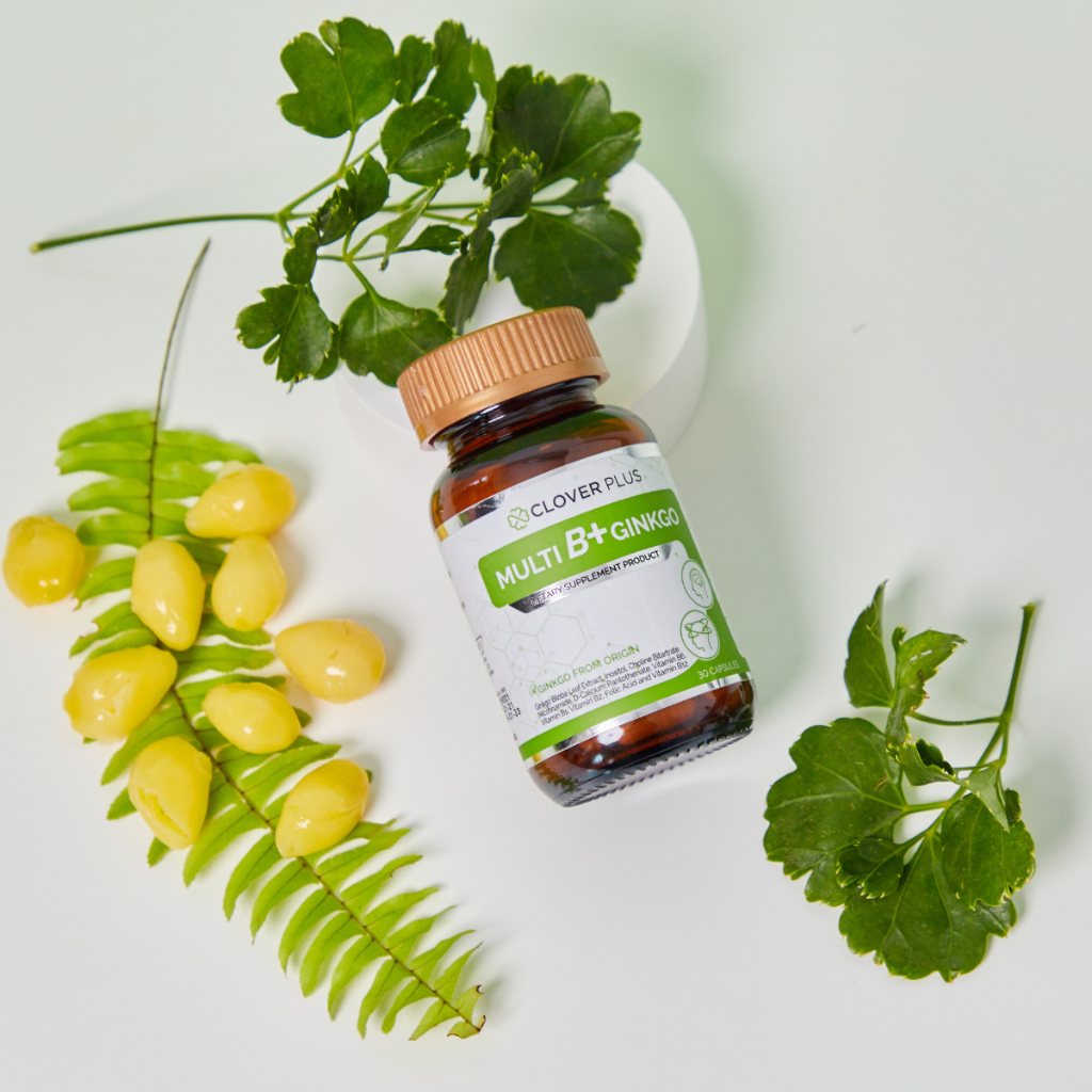 แพ็คคู่ Clover Plus Multi B+ Plus Ginkgo วิตามินบีรวมและสารสกัดจากใบแปะ ...