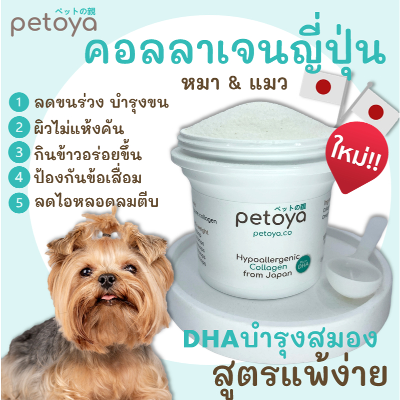 คอลลาเจนญี่ปุ่นบำรุงขนและข้อ สุนัขแมว