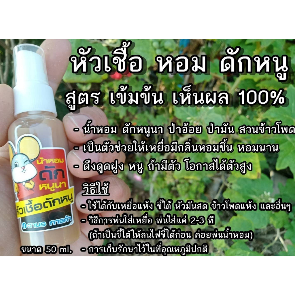 น้ำหอมดักหนู-หัวเชื้อดักหนู-เข้มข้น-ขนาด-50ml-ช่วยให้เหยื่อมีกลิ่นหอม-ที่หนูชอบ-มีตัว-เห็นผล-100