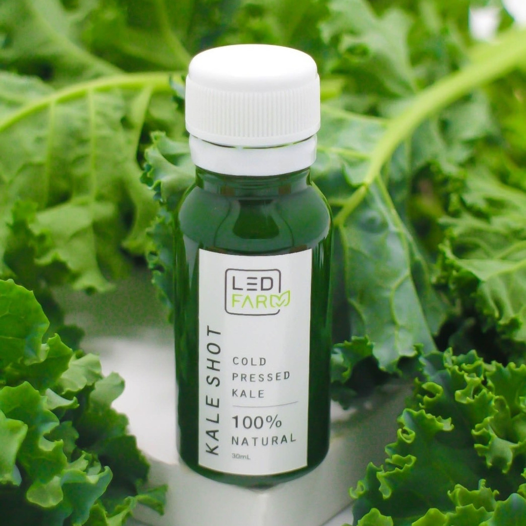 Kale Shot เคลช็อต น้ำผักเคลสกัดเย็น 30 มล. | Shopee Thailand