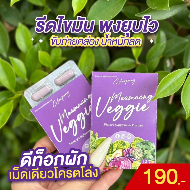 ดีท้อกซ์ผักผอม-ม้าม่ว-ลดพุง-ไข่มัน