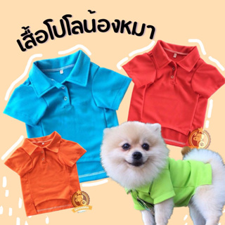 Dogiebra เสื้อผ้าสุนัข Polo (สีฟ้า)