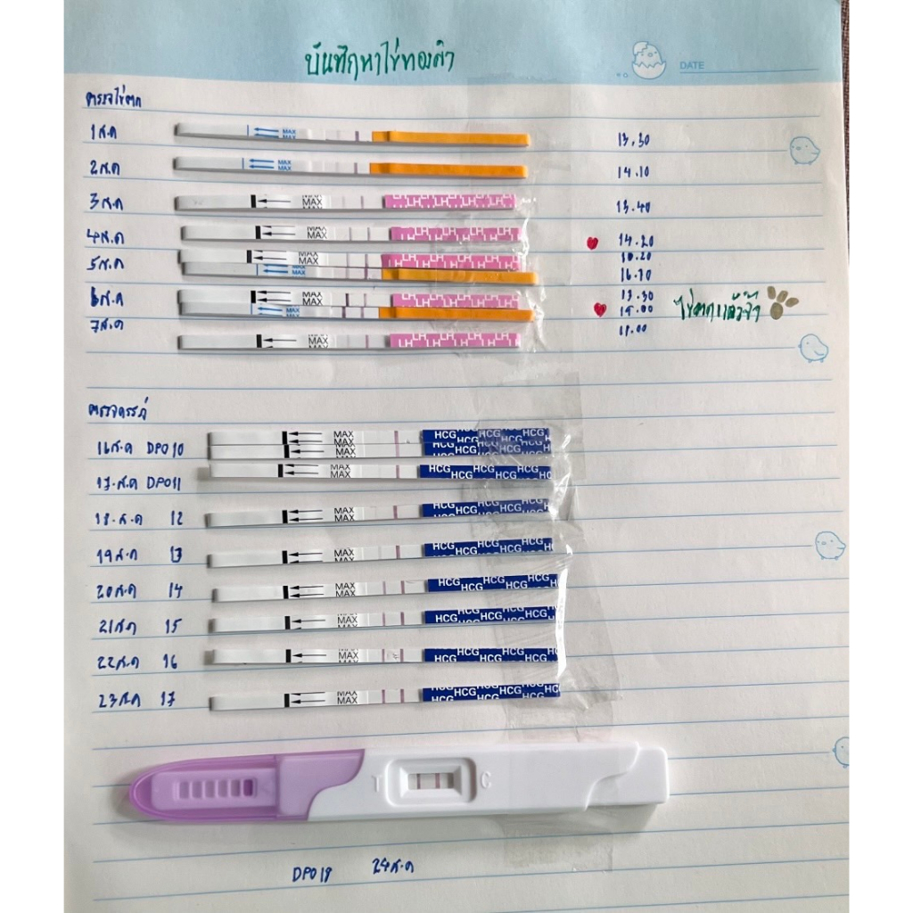 มาตรฐาน-อย-รับรองคุณภาพ-ที่ตรวจไข่ตก-cleardi-แถบกว้าง-3-mm-ใหญ่กว่าเดิม-แผ่นตรวจไข่ตก-lh-ชุดตรวจไข่ตก-แผ่นตรวจไข่ตก