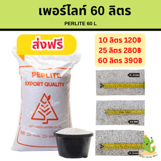 ✅ส่งฟรี เพอร์ไลท์ perlite 25 ลิตร 60 ลิตร วัสดุปลูกทำให้ดินโปร่งอุ้มน้ำและระบายอากาศได้ดี