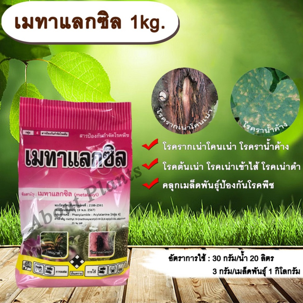 allaboutplants-เมทาแลกซิล-1kg-สารป้องกันกำจัดโรคพืช-คลุกเมล็ดป้องกันโรค