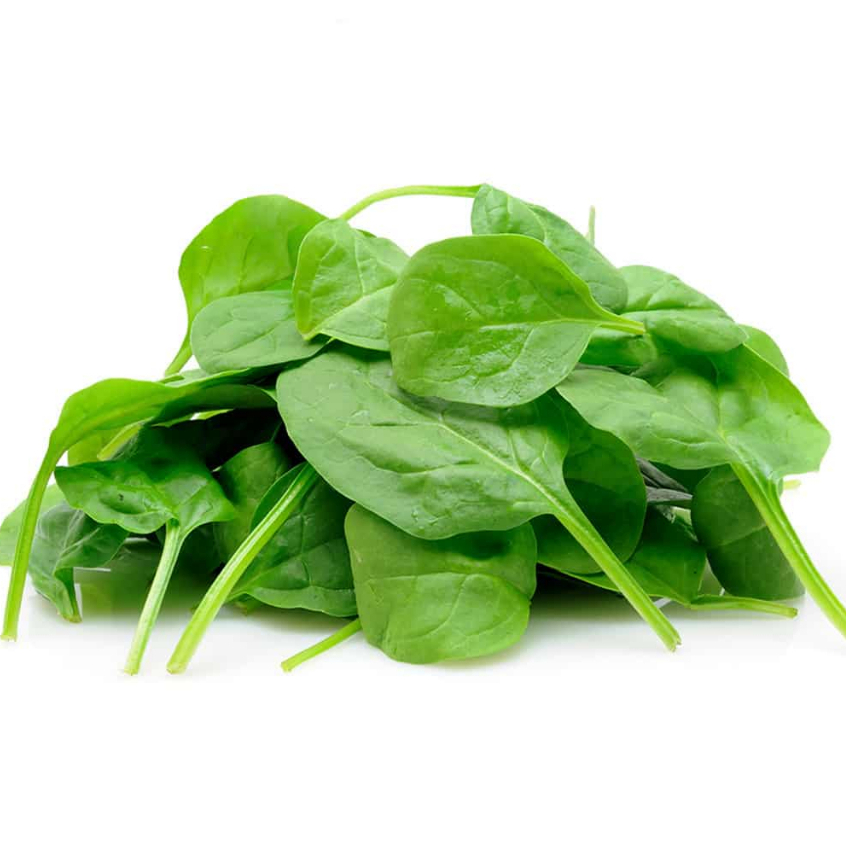 fitfood-spinach-powder-100g-ผงผักโขม