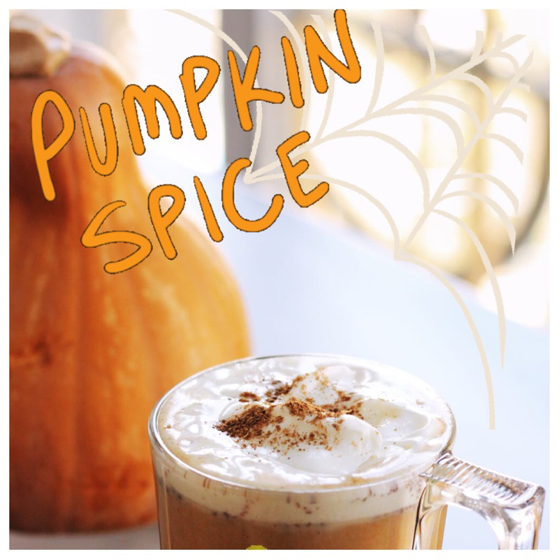 ผงเครื่องเทศ-pumpkin-spice-blend-natural-fresh-amp-aromatic