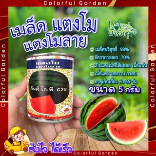 เมล็ดแตงโม แตงโมลาย 5 กรัม 🍉 เมล็ดพันธุ์แตงโม กินดี โอ.พี ตรารถถัง อัตรางอก 70% น้ำหนัก เมล็ดพันธุ์ แตงโม