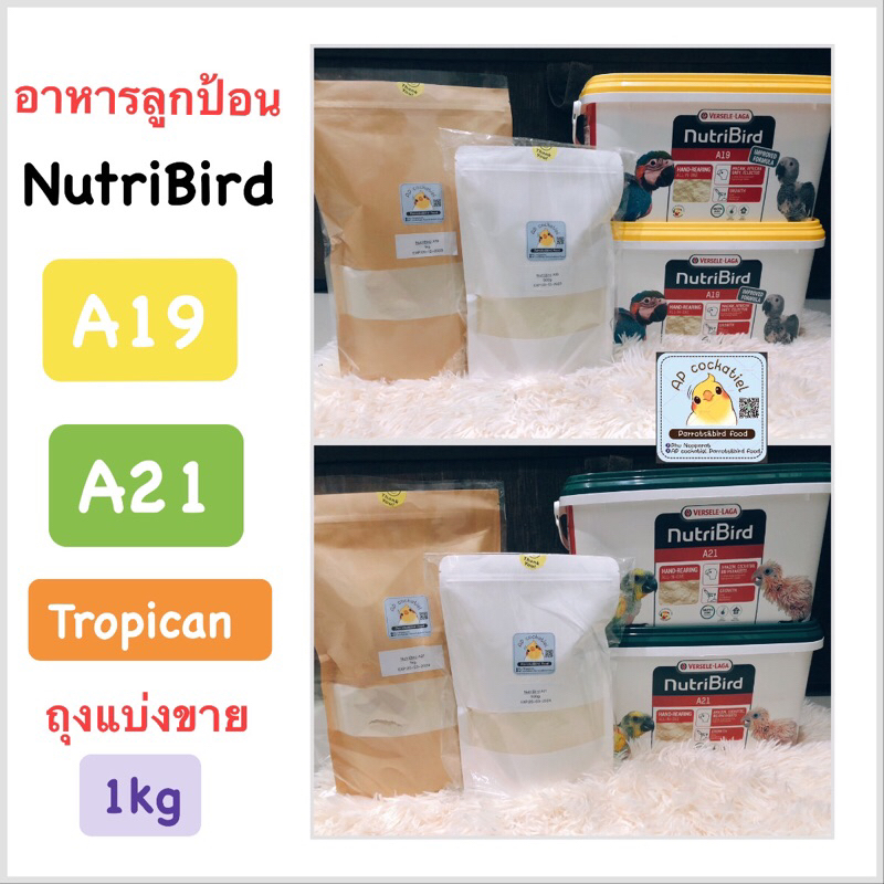 อาหารลูกป้อนnutribird-a21-a19-tropican-แบ่งขาย-1kg-500g-เหมาะสำหรับนกแก้วทุกสายพันธุ์-แพ็คเกจใหม่