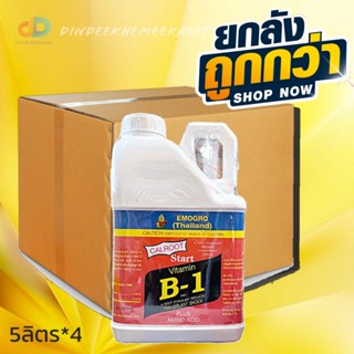 (ยกลัง*4แกลลอน) วิตามินบี-1 (VitaminB-1) #สารกระตุ้นรากพืช ขนาด 5ลิตร