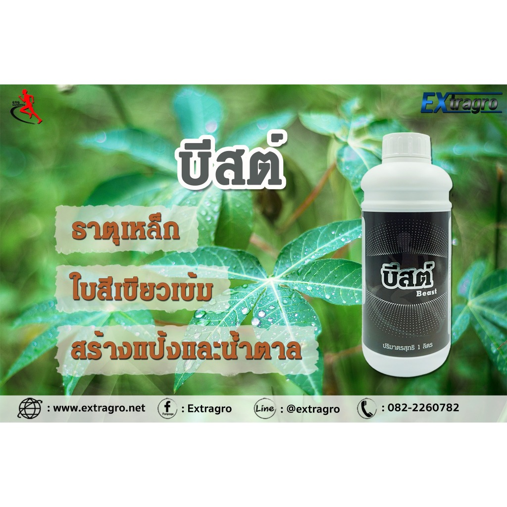 บีสต์1l-ธาตุอาหารรอง-ธาตุอาหารเสริม-เหล็ก-กำมะถัน-เร่งโตใบเขียวเข้มสร้างแป้ง-น้ำตาล-เร่งหวาน-พืชขาดธาตุเหล็กแก้ใบเหลือง