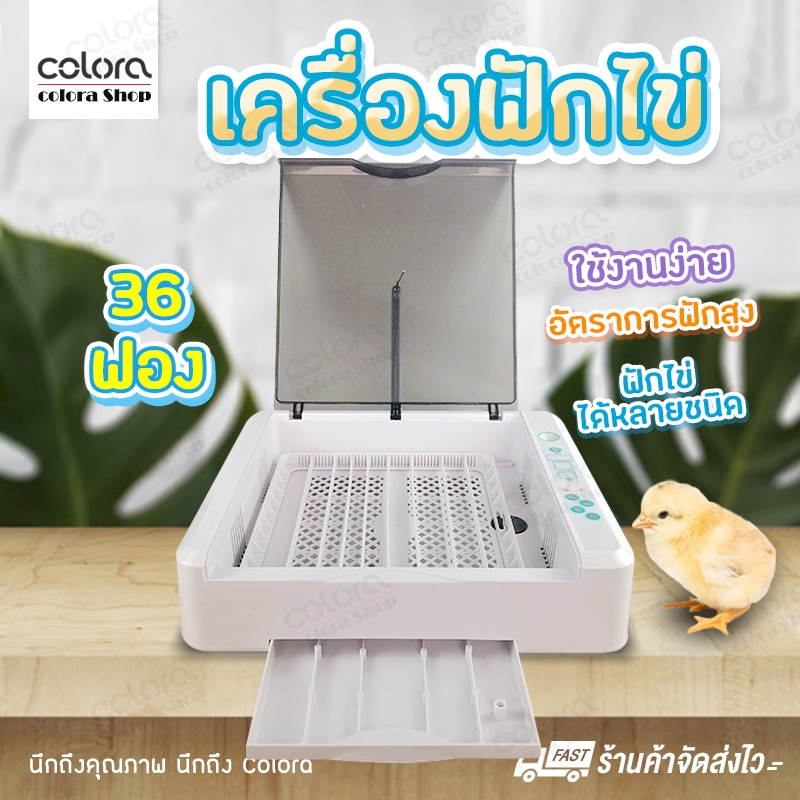 เครื่องฟักไข่อัตโนมัติ-36-ฟอง-ตู้ฟักไข่-ตู้อบไข่-ฟักไข่ได้หลายขนาด-ไข่ไก่-ไข่ห่าน-ไข่นกกระทา