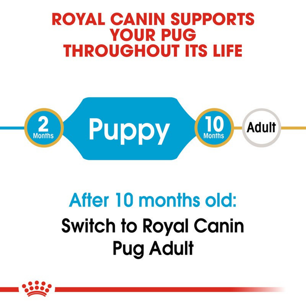 royal-canin-pug-puppy-โรยัล-คานิน-อาหารลูกสุนัข-พันธุ์ปั๊ก-อายุต่ำกว่า-10-เดือน-500-กรัม