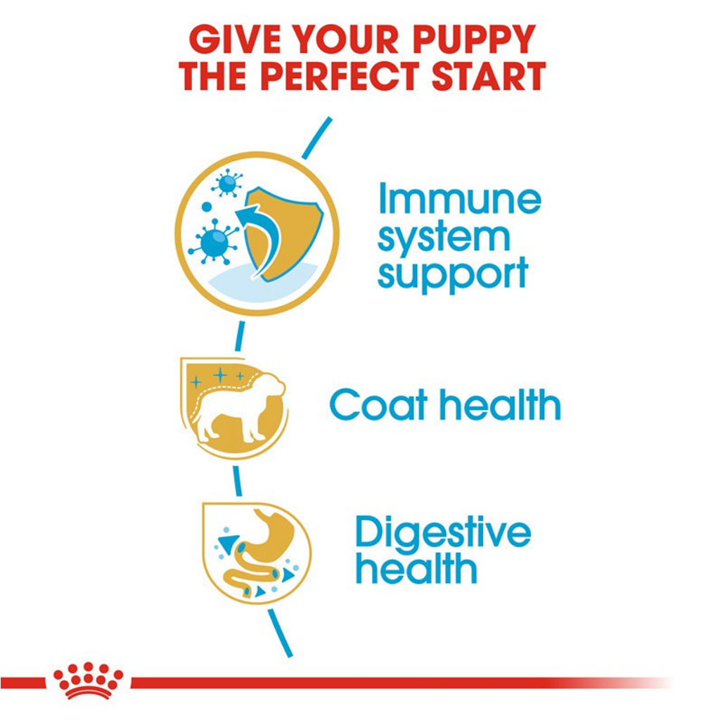 royal-canin-poodle-puppy-โรยัล-คานิน-อาหารสำหรับลูกสุนัข-พันธุ์พุดเดิ้ล-อายุต่ำกว่า-10-เดือน-500-g