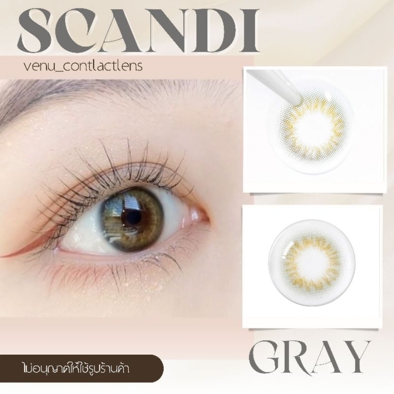คอนแทคเลนส์ Scandi Gray / ยี่ห้อ Gaezz Secret ; Color Gray ( ค่าสายตา ...