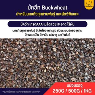 สินค้า บัควีท Buckwheat เกรดA อาหารนกแก้ว และสัตว์ฟันแทะ สะอาด ร่อนฝุ่นทุกถุง (แบ่งขาย 250G / 500G)