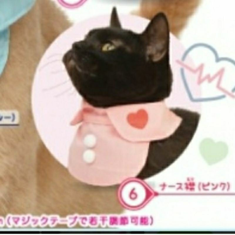 กาชาปอง หมวกแมว gachapon cat hat v.5 Shopee Thailand