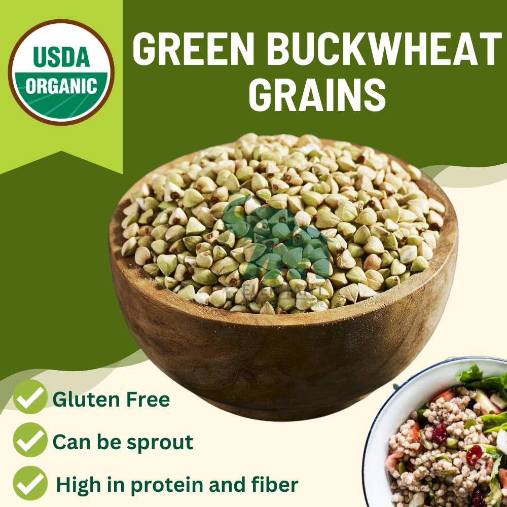 USDA Green Buckwheat grains 1000g เมล็ดบัควีท บัควีท บักวีต / เพาะงอก