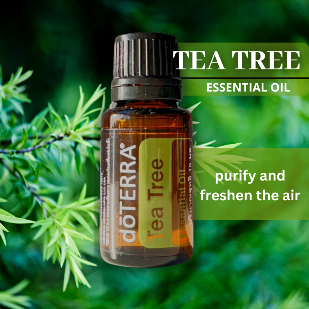 【人気商品】doTERRA ドテラ 15ml 2本セット ティーツリー 正規品 doTERRA ドテラ TeaTree ティーツリー 15ml : ライフスタイル