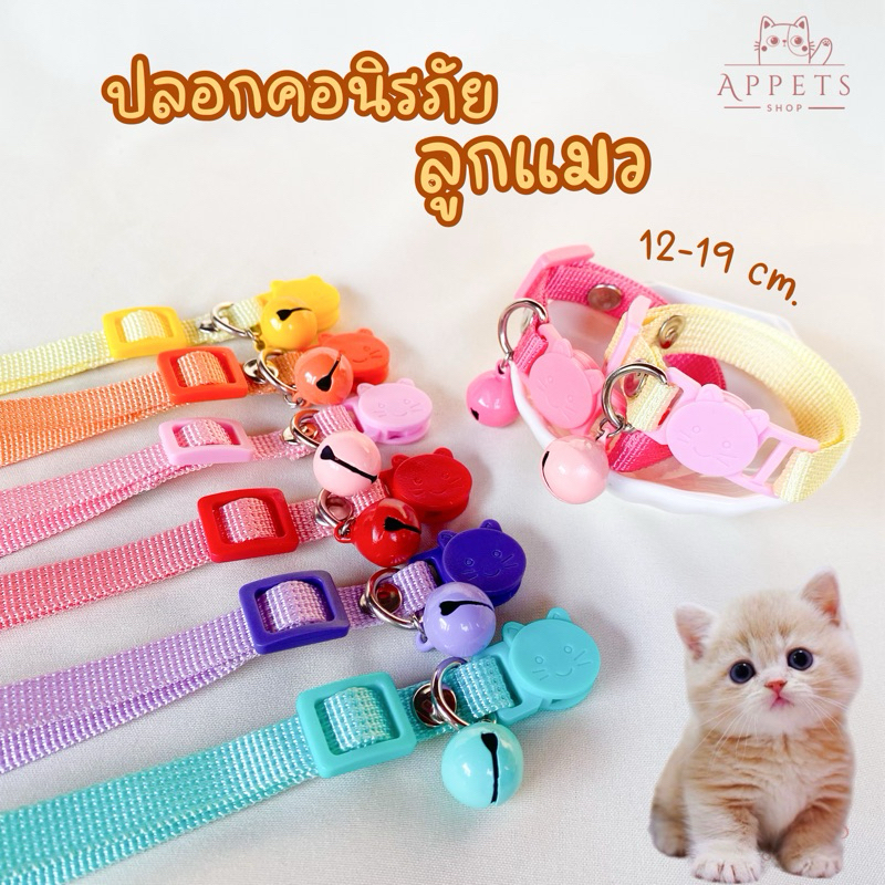 ปลอกคอลูกแมว นิรภัย แมวเด็ก
