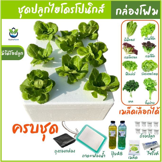 กล่องโฟมปลูกผักไฮโดรโปนิกส์