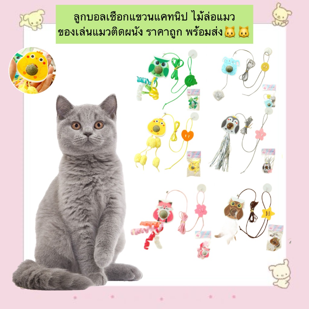 BN-1199 Cat Teaser ของเล่นสัตว์เลี้ยง ลูกบอลเชือกแขวนแคทนิป ไม้ล่อแมว ...