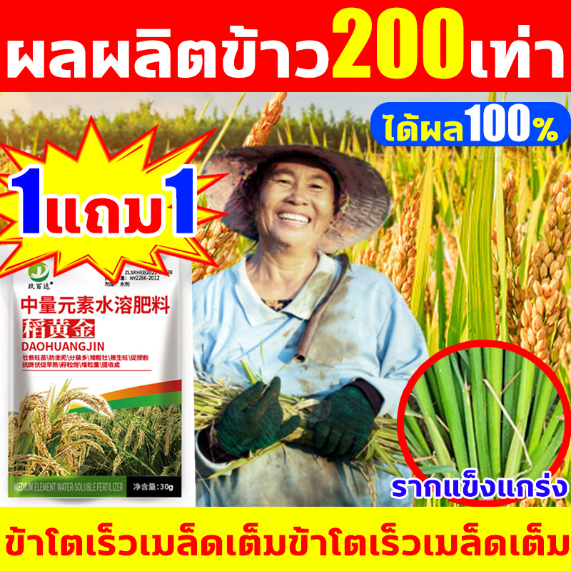 🌾ข้าวเต็ม รากแข็งแรง🌾ฮอร์โมนข้าว เพิ่มผลผลิต 200 เท่า ฮอร์โมนพืชข้าว ลดการหลุดของอนุภาค ปุ๋ยพิเศษสำหรับข้าว อะมิโนพืช