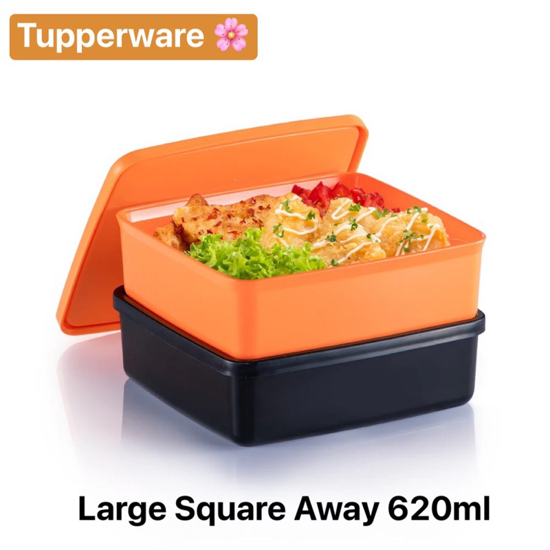 Tupperware รุ่น Large Square Away (1) 620ml สุ่มสี | Shopee Thailand