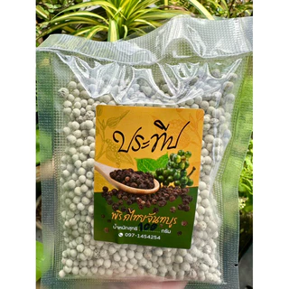 พริกไทยขาว แบบเม็ด เกรด A 100 กรัม จันทบุรี photo