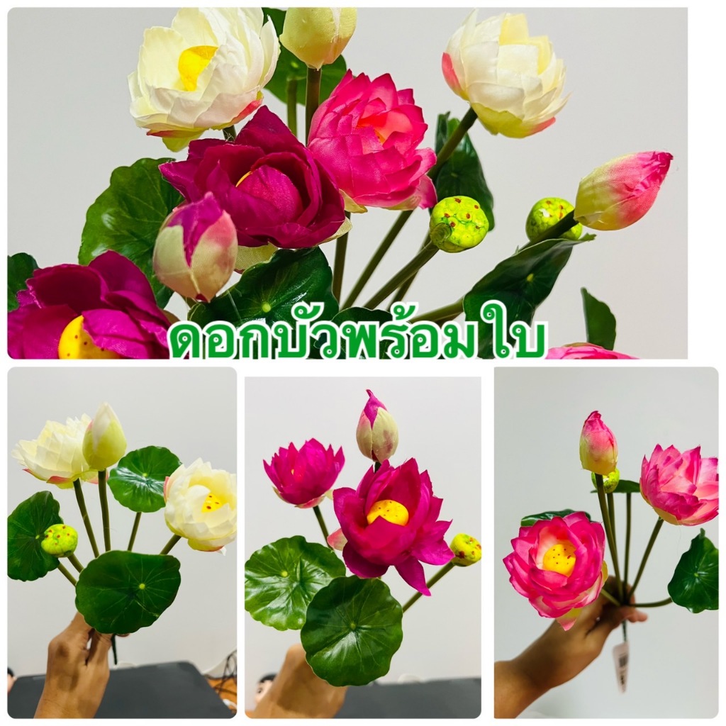 ดอกบัว (ดอกบัว 3ดอก+ใบ+ฝักอ่อน) ดอกบัวพุ่มสวยๆๆ ดอกบัวปลอม ดอกบัวผ้า ...
