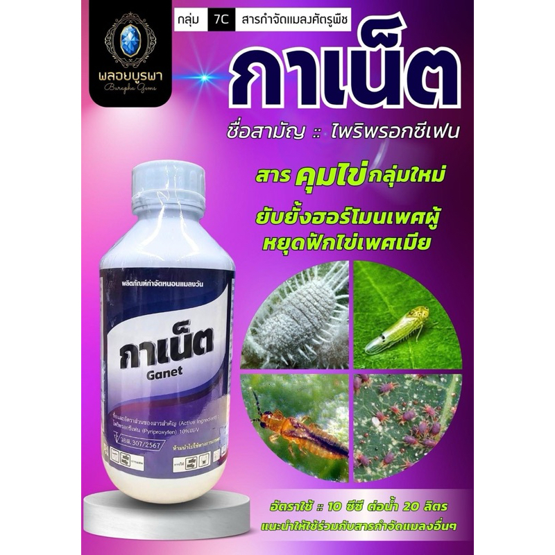 pyriproxyfen 1ลิตร ไพริพรอกซีเฟน 10% คุมไข่ทั้งเพศผู้และเมีย กำจัดแมลง ...