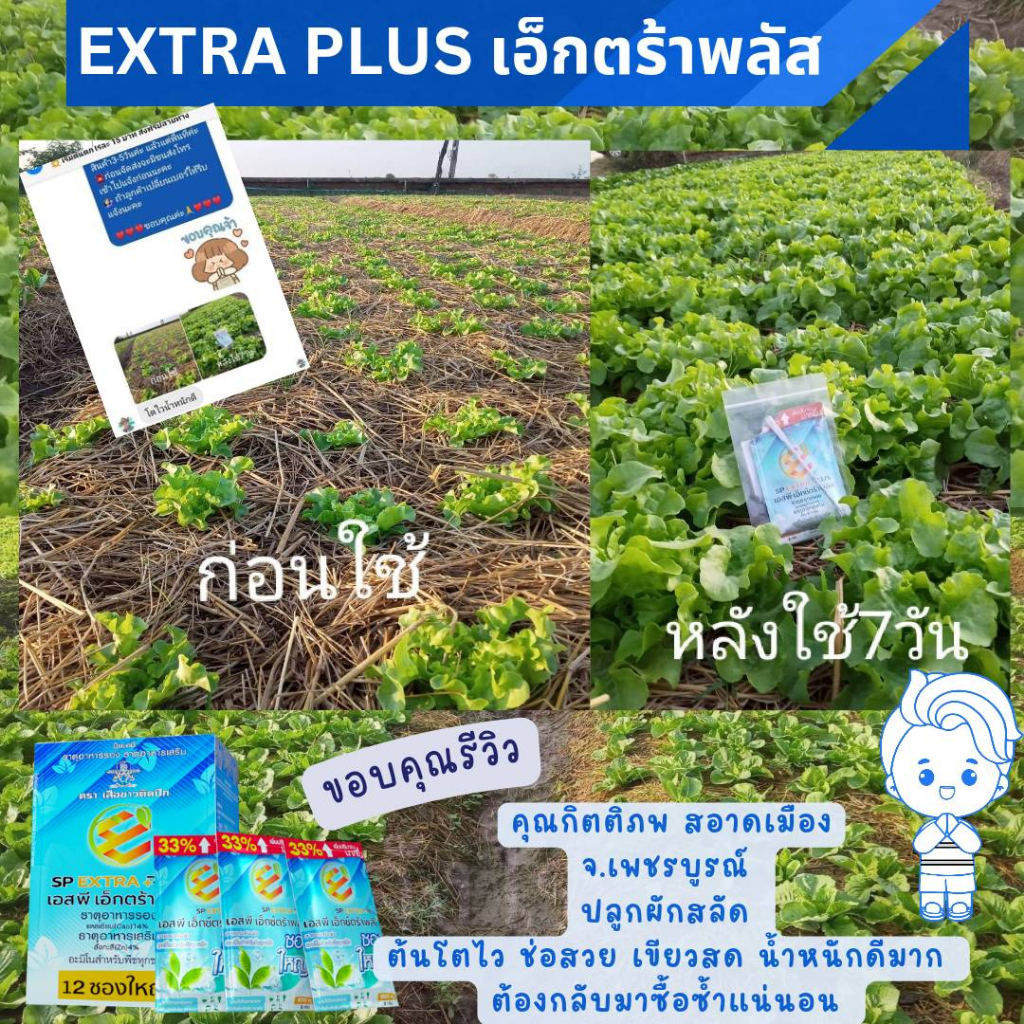 ส่งฟรี-ปุ๋ยทางใบ-เอ็กตร้าพลัส-3-ซองใหญ่-แถม-เสื้อ-1-ตัว-ปุ๋ยอินทรีย์-อาหารเสริมพืช-ปุ๋ยฮอร์โมนพืช-อะมิโนพืช-ปุ๋ย