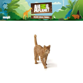 โมเดล ของเล่นเด็ก Animal Planet Model 387283P Cat Ginger Tabby