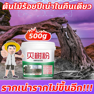 🌲ตรงไปที่ราก!!🌲DT ยาฆ่าต้นไม้ ยาฆ่าตอไม้ ยาฆ่ากอไผ่ สารกำจัดกอไผ่ 500g ฆ่ารากได้สิ้นเชิง ไม่ทำลายดิน tree killer