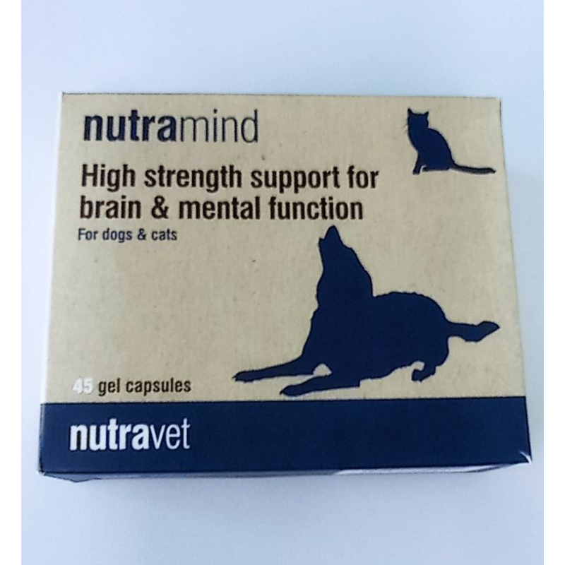 nutramide-nutravet-อาหารเสริมบำรุงสมองสุนัข-อาหารเสริมบำรุงประสาทสุนัข-อาหารเสริมบำรุงสมองแมว-อาหารเสริมบำรุงประสาทแมว