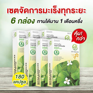 ชุดทานต่อเนื่อง 6 กล่อง ผลิตภัณฑ์เสริมอาหาร EV9 พลูคาวสกัดพลัส  EV9​ Plukaow Extract Plus ผลิตภัณฑ์สมุนไพรคุณภาพ