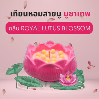 ALMONTE ROYAL LOTUS BLOSSOM【พร้อมส่ง】เทียนหอมอโรม่า  ไขถั่วเหลือง เทียนหอมปรับอากาศ เทียนหอมสร้างบรรยากาศ