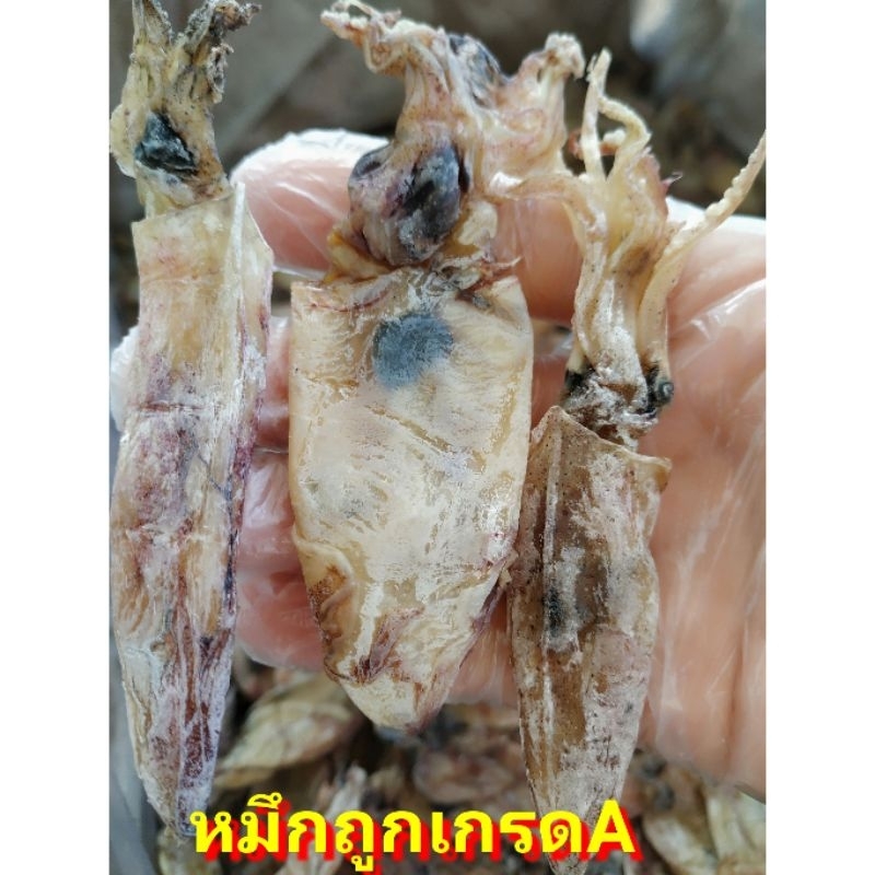 ราคาถูกที่สุด-ปลาหมึกแห้ง-หมึกกระตอย-หมึกไดร์-จืด-1kg-ปลาหมึกกลมเนื้อ-หมึกกล้วย-เนื้อหนาแน่น-และหมึกจืด-100-กลิ่นหอม