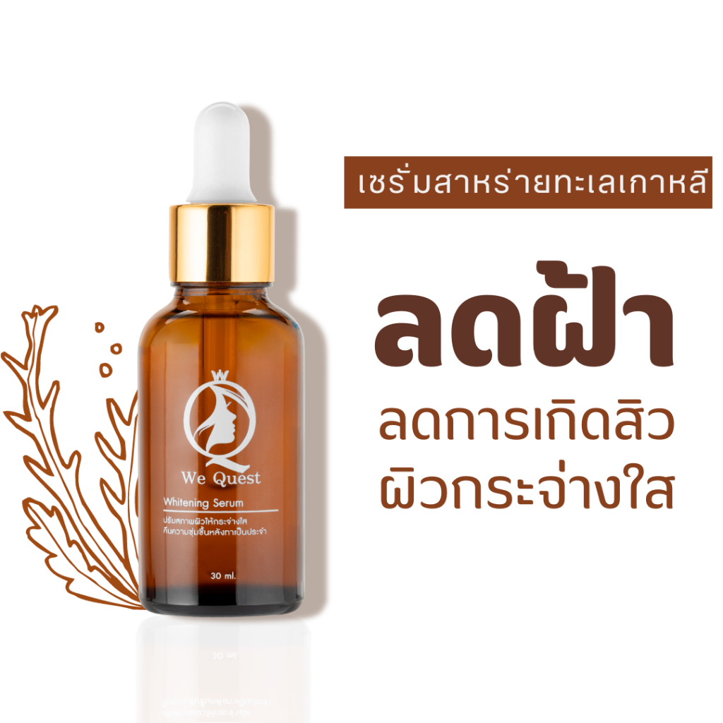 We Quest Serum เซรั่ม ลด ฝ้า กระ จุดด่างดำ หน้า ขาว ใส ผิวเรียบ สาหร่ายทะเลเกาหลี Shopee Thailand