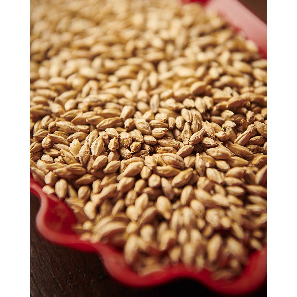 มอลต์ CARARED Malt Weyermann Malt Homebrew ทำเบียร์ จาก Germany ขนาด 1 ...