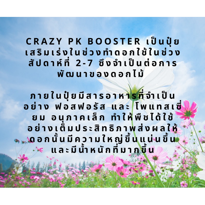 crazy-pk-booster-ปุ๋ยเพิ่มความแน่-เพิ่มน้ำหนัก-ขนาดดอกและผลไม้