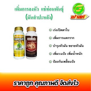 สูตรสร้างหัวมัน แช่ท่อน ลงหัว