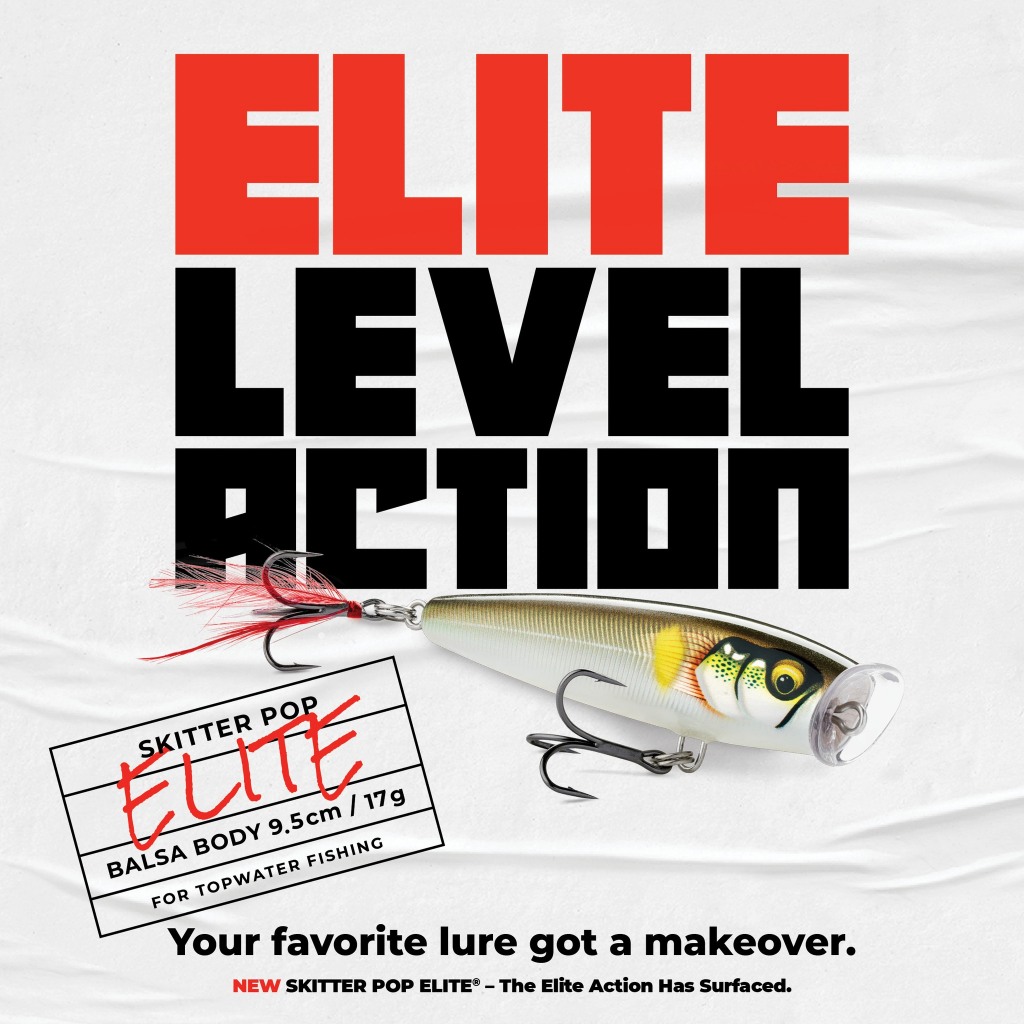 Leurre Flottant Rapala Skitter Pop Elite SPE95 - Couleur GDNIA - Pêche Topwater